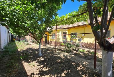 Casă individuală cu 5 camere cu Canalizare în Coiciu - 20
