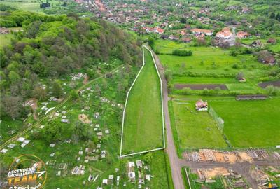 Spațiu comercial, în Păpăuți - 1