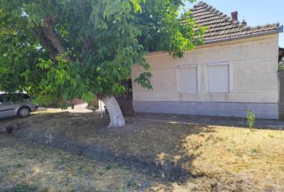 Casă + Curte + Teren arabil generos, Nerău, Teremia Mare, 1596 mp, locuibilă ime - 1