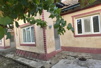 Vand casa in Comuna Daeni Jude?ul Tulcea - 4