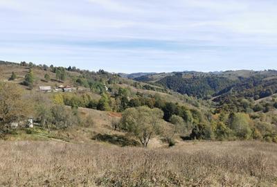 Se vinde teren extravilan in sat. Valea Verde, Comuna. Sohodol, Județul Alba