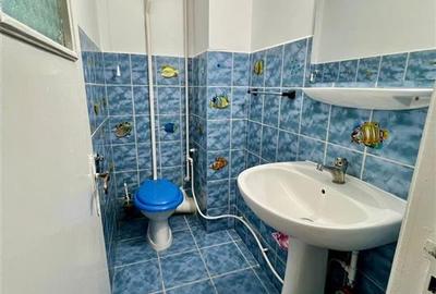 Apartament cu 3 camere decomandat în Nufărul - 9
