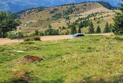 Teren de 700 mp, în Măguri - 7