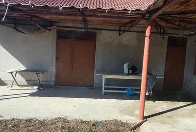 Casă cu 4 camere în Vulturu - 2