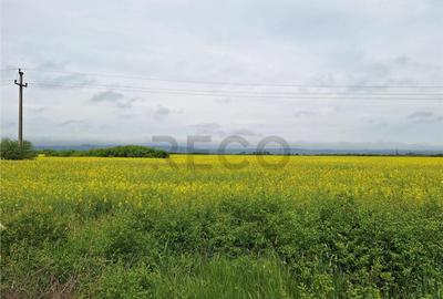 Reco, teren intravila la E60 sacadat - 2