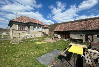 Casă cu 2 camere cu Teren 3465 Mp în Vale - 2