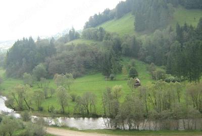 Teren de 13816 mp, în Vama Buzăului - 8