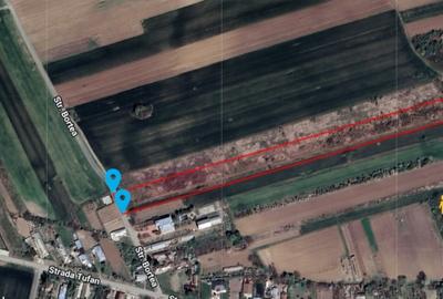 Vand teren in Tandava cu deschidere la PADURE (Gradinari, Giurgiu) - 3