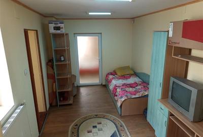 Casă individuală cu 7 camere cu Teren 243 Mp în Vest - 29