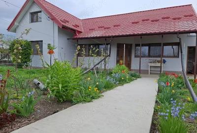 Casa de vanzare in O?etoaia - 1