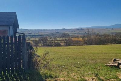 Teren de 3000 mp, în Central - 5