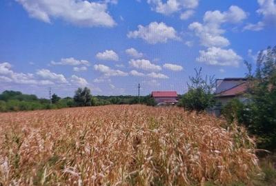 Snagov Ghermănești 4000 Mp Teren de vânzare L3 S+P+1E+M LIDL Ieșirea Spre A3 - 18