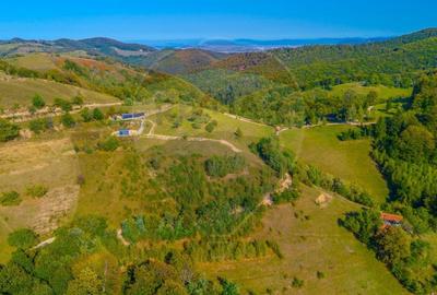 Teren agricol extravilan de 6014 mp, în Holbav - 7