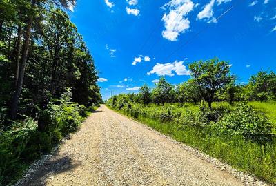 Teren de 9696 mp, în Spiridoni - 8