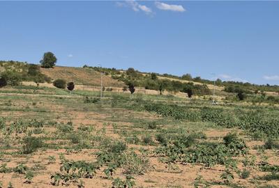 Reco Teren Extravilan Episcopia aproape de Remarkt - 9