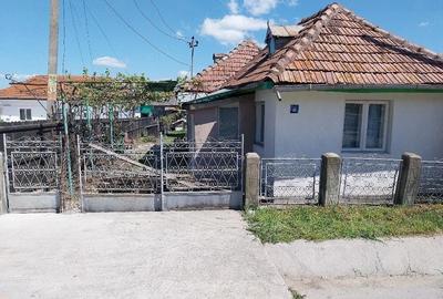 Teren de 6000 mp, în Budești - 3