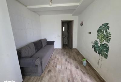 Spațiu comercial, în Petricani - 5