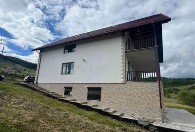 Casă cu 4 camere cu Teren 3808 Mp în Mestecăniș - 5