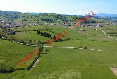 Teren intravilan de 3267 mp, în Barcani - 8
