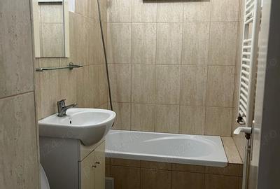 Apartament ingrijit cu Brazi la balcon - 9