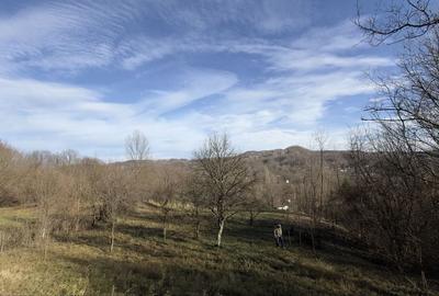 Spațiu comercial, în Central - 6