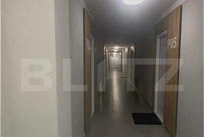 Ichiriere Apartament 2 Camere Nord - 4