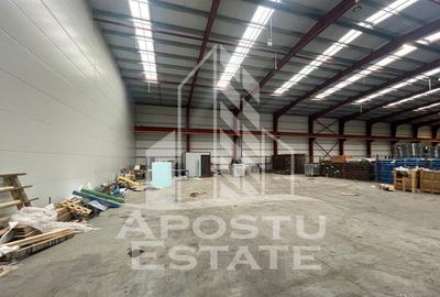 Spațiu comercial, de 600 mp, în Săcălaz - 3