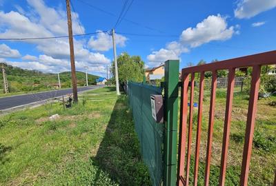 Casă individuală cu 2 camere cu Canalizare în Drăganu - 11