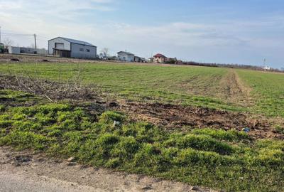 Teren de 5000 mp, în Gulia - 1