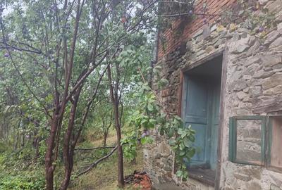 Casa de vanzare comuna Brusturi judet Arad - 4