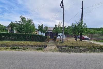 Spațiu comercial, de 90 mp, în Teslui - 3