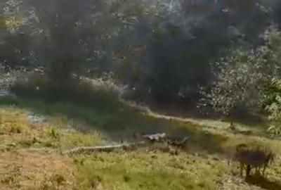 Casa 2 camere in Zam - ID : RH-38533-property - 7