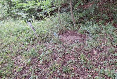 VANZARE ANSAMBLU CASUTE BRADULET ARGES - 17