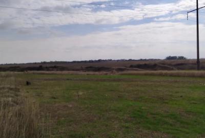 Teren de 800 mp, în Malu Mare - 2