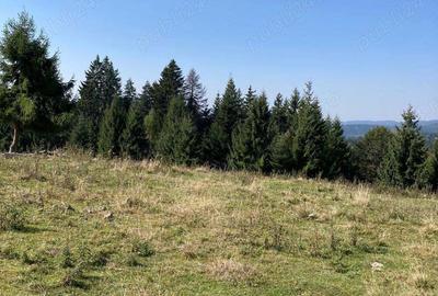 Teren în Călimănel - 1