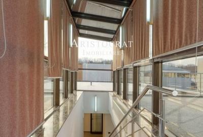 Vila cu arhitectura unica în Corbeanca - 31