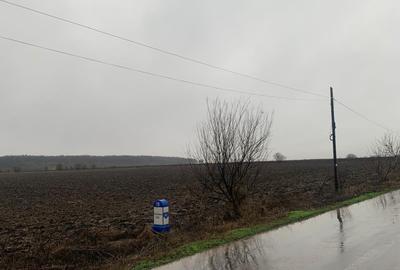 Petrechioaia  Suprafata Compacta 35 000mp(10eur/mp)Teren Extravilan - 5