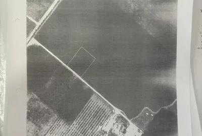 Oportunitate Teren Case Individuale sau Duplexuri Padurea Cernica 300m - 3