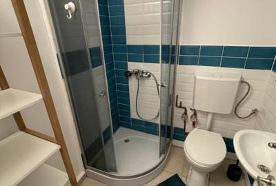 Garsoniera cocheta, amenajare moderna, Victoriei - 6