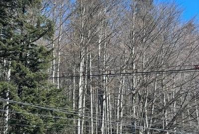 Credit Imobiliare va ofera spre vanzare o vila aplasata in Zona Valea Rasnoavei - 14