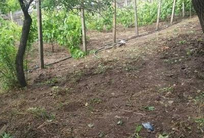 Casă cu 3 camere cu Teren 1746 Mp în Cudalbi - 4