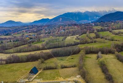 Teren Construcții intravilan de 480 mp, în Tohănița - 6