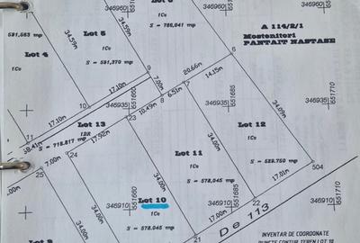 Cartier Padure Baneasa | Teren Intravilan | 578 Mp Cartier Padure Baneasa | Teren Intravilan | 578 Mp - 3