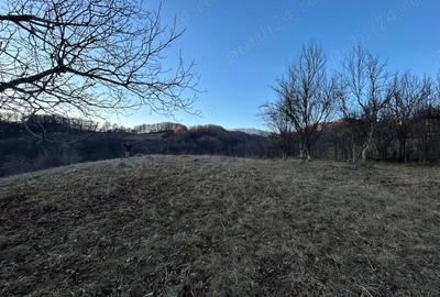 Teren de 4000 mp, în Gurguiata - 6
