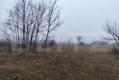 Teren de 1958 mp, în Ciurea - 2