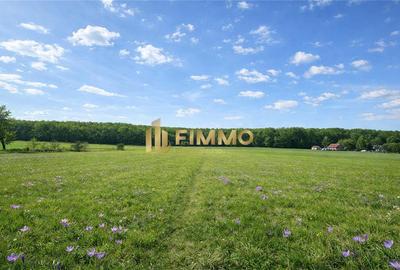 Teren Construcții intravilan de 3200 mp, în Dragomirna - 1