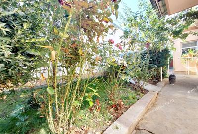 Oportunitate! Proprietate Imobiliara amplasata pe Str. Traian ! - 8