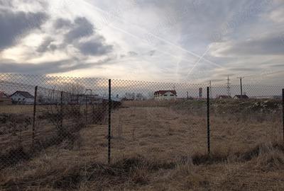Teren de 1300 mp, în Terezian