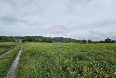 Teren de 1495 mp, în Dobreni - 8