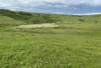 Spațiu comercial, în Mica - 5